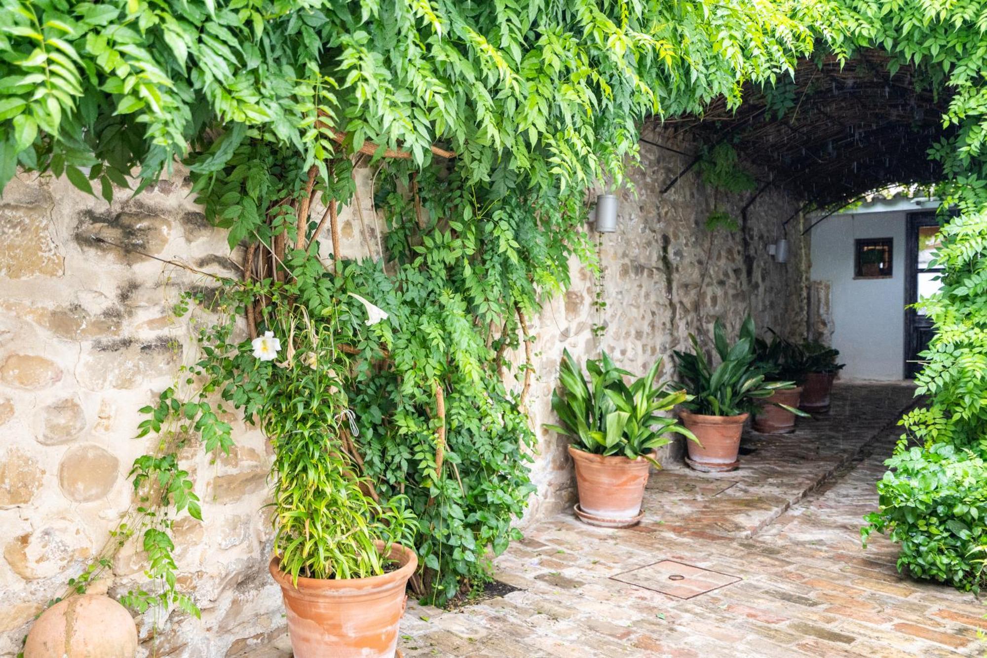 Yit La Casona Del Arco Otel Baeza Dış mekan fotoğraf